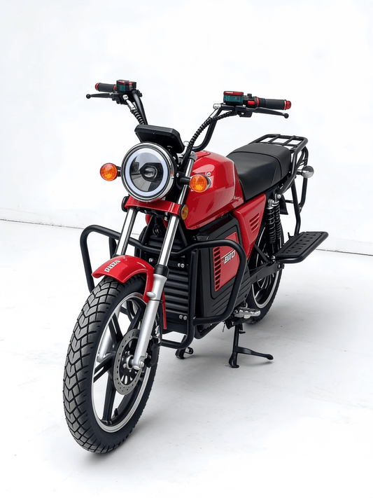 Africa No.1 Electric Motorcycle | E-BIRD BIKE