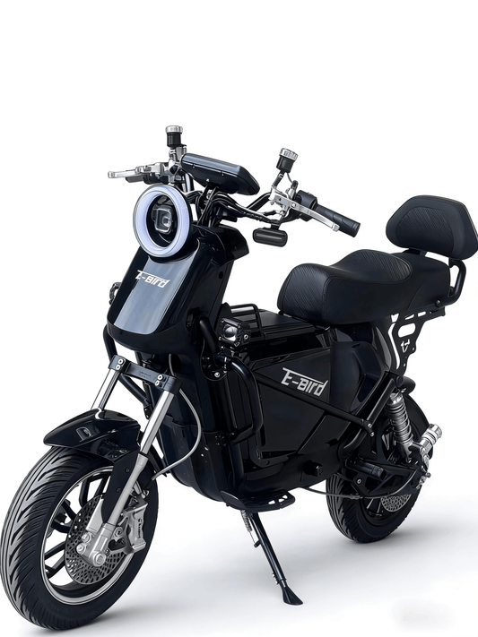 E-Bird UB6.0Modified Electric Motorcycle – Audio Version