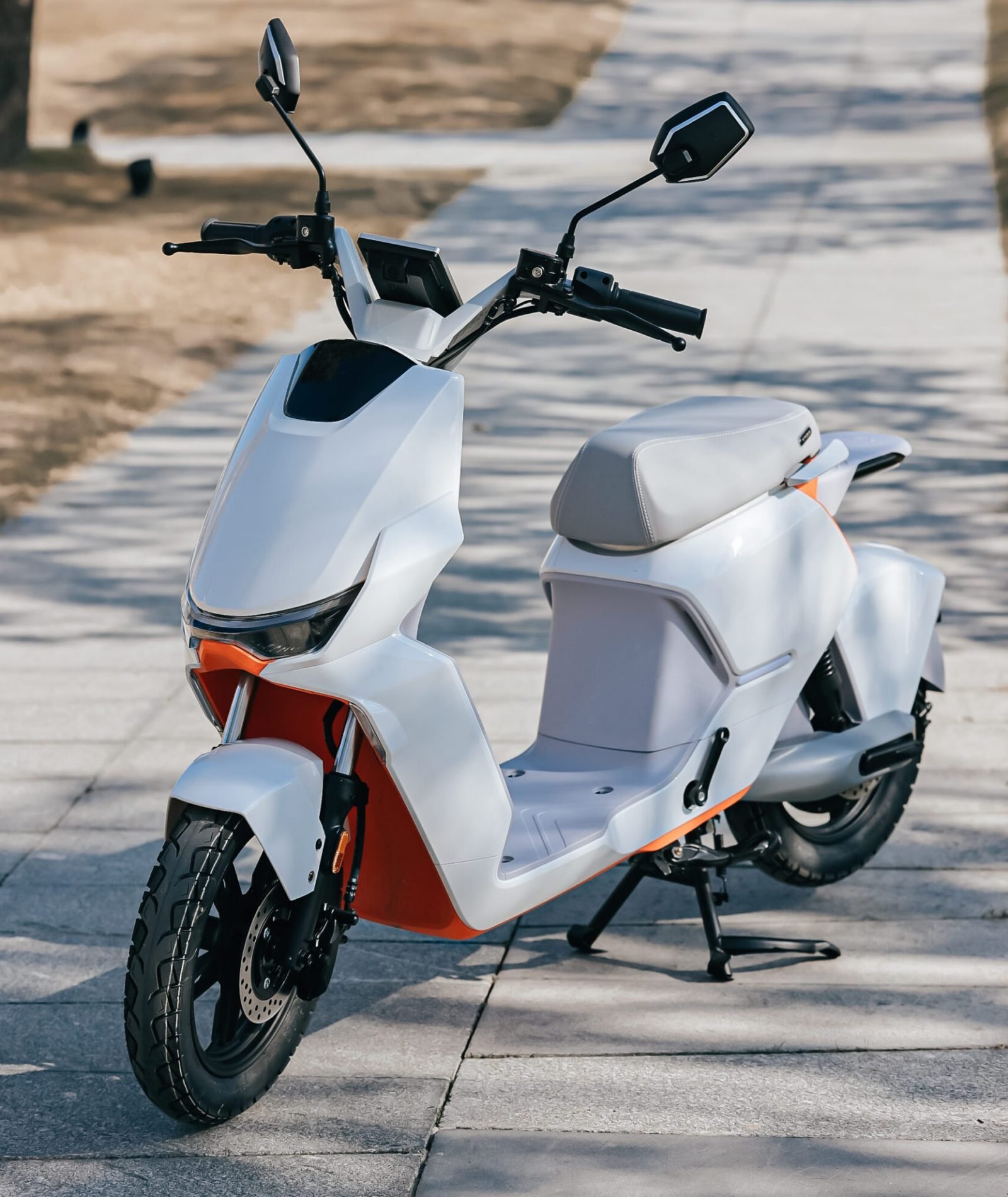 244A3265-opq356413388